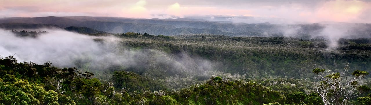 Wailua Gebäude Hintergrund