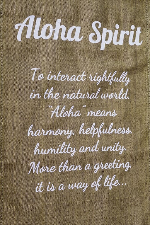 L’esprit Aloha
